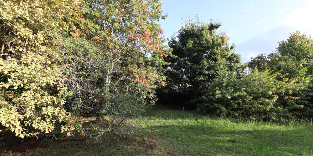 terrain à LEOGNAN (33850)