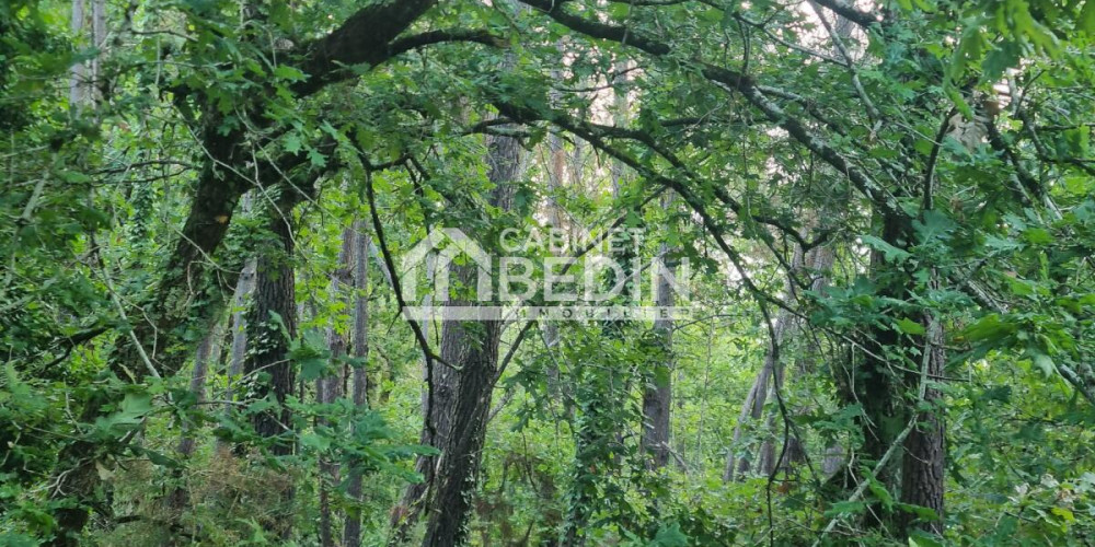 terrain à LE TEICH (33470)