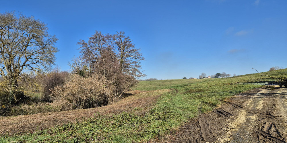 terrain à COUTURES (33580)