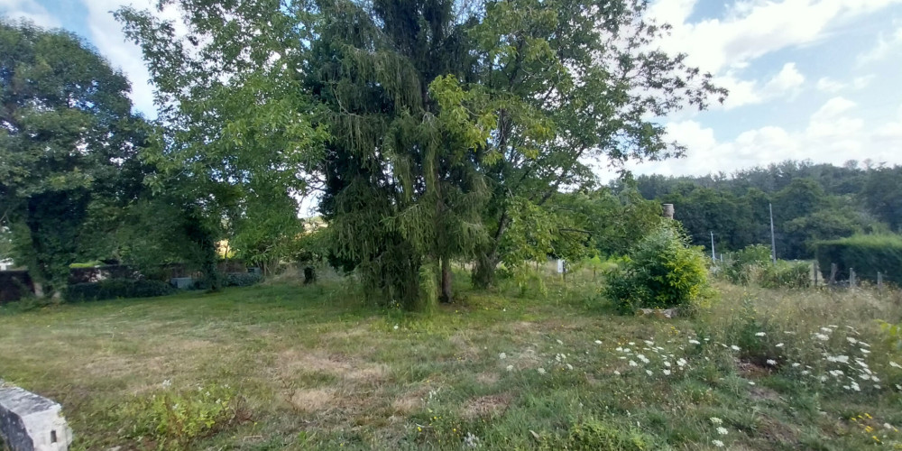 terrain à BAZAS (33430)