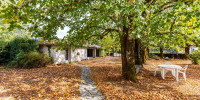 maison à LA BREDE (33650)