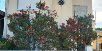 maison à BORDEAUX (33200)