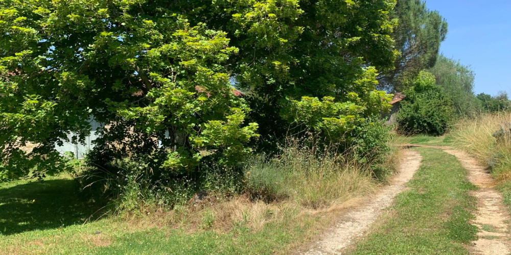 maison à SAUVETERRE DE GUYENNE (33540)