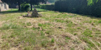 terrain à LUGASSON (33760)