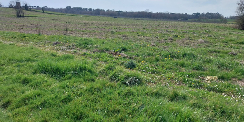 terrain à BAIGNEAUX (33760)