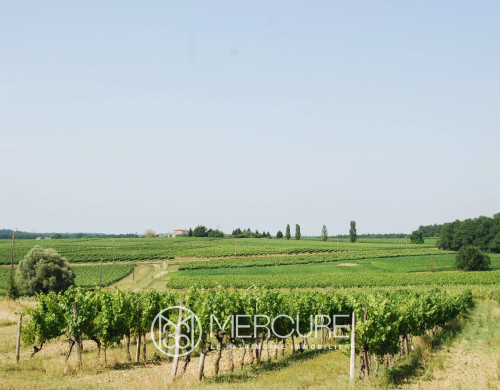 maison  SAUVETERRE DE GUYENNE