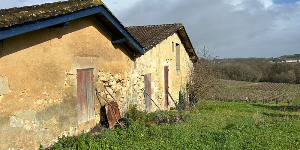 maison à MOMBRIER (33710)