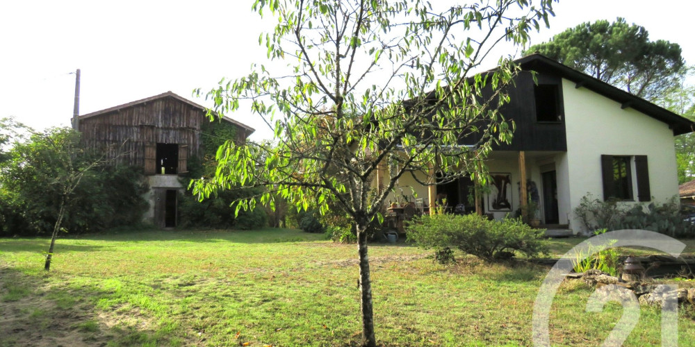 maison à VILLANDRAUT (33730)