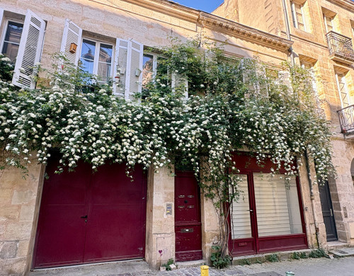 appartement  BORDEAUX