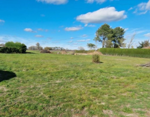 terrain  ST MARTIN DE LAYE