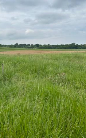 Terrain  BAIGNEAUX