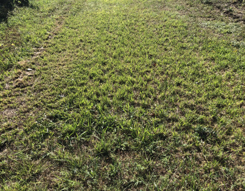 terrain  ST ANDRE DE CUBZAC