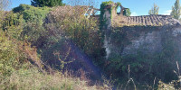 maison à AURIOLLES (33790)
