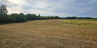 terrain à COUTURES (33580)