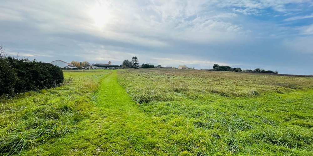 terrain à ANGLADE (33390)