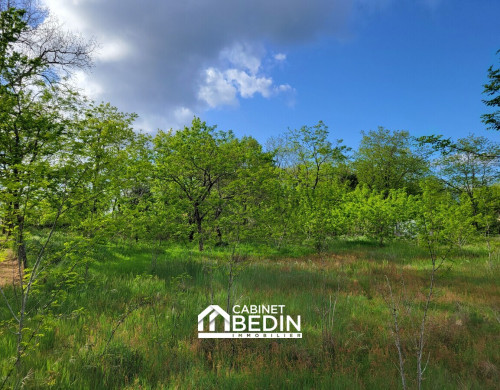 terrain  BELIN BELIET