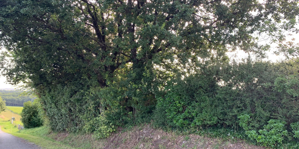 terrain à CAZAUGITAT (33790)