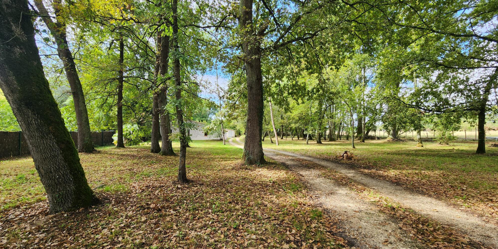 maison à ST ANDRE DE CUBZAC (33240)