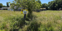 terrain à SALAUNES (33160)