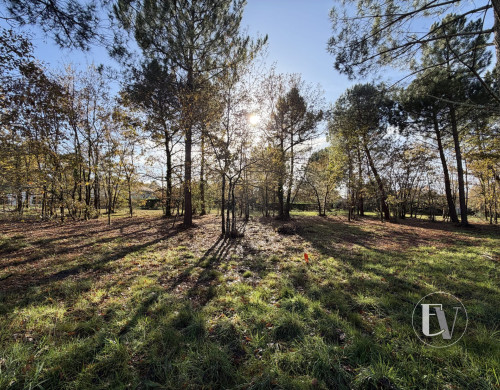 terrain  GUJAN MESTRAS