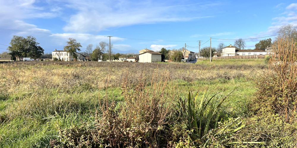 terrain à ST MICHEL DE FRONSAC (33126)