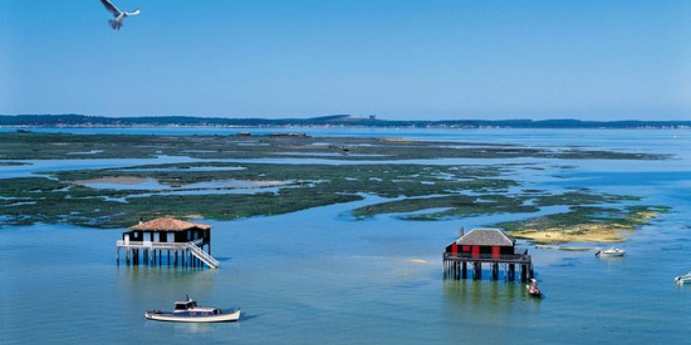 fond de commerce à LEGE CAP FERRET (33950)