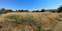 terrain à AMBARES ET LAGRAVE (33440)