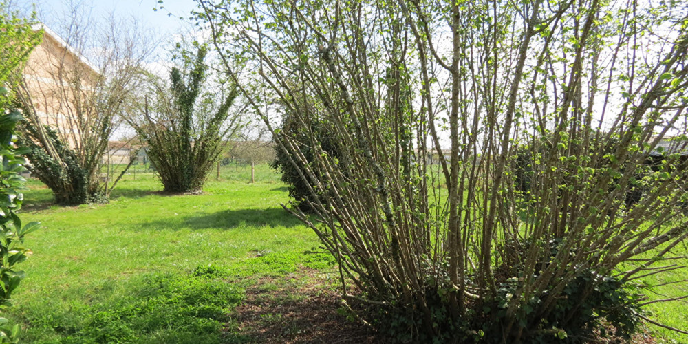 terrain à CISSAC MEDOC (33250)