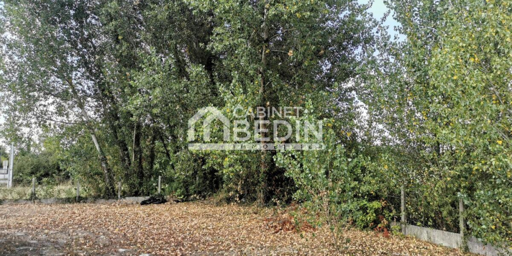 maison à ST DENIS DE PILE (33910)