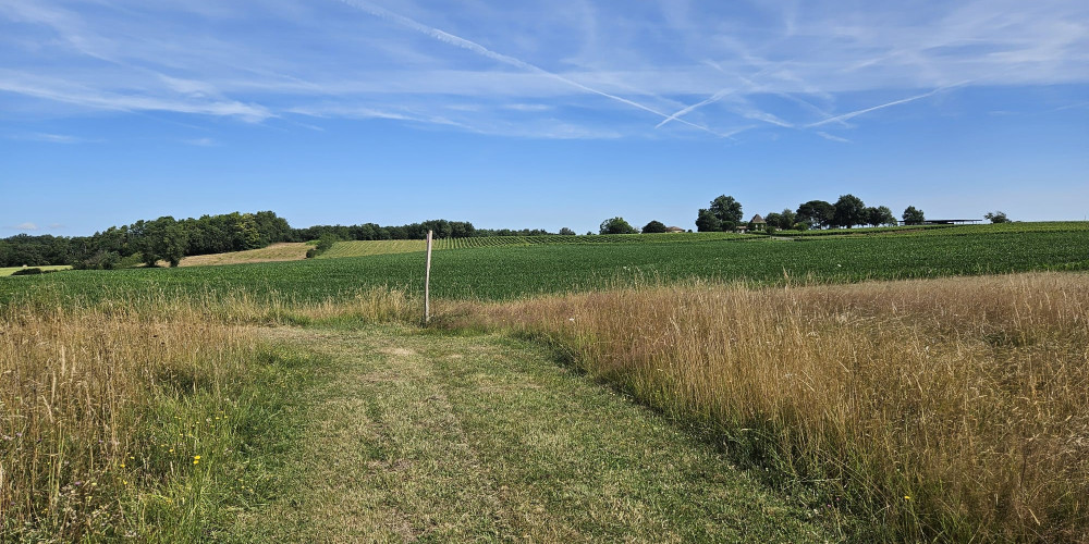 terrain à COUTURES (33580)