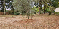 terrain à ARSAC (33460)