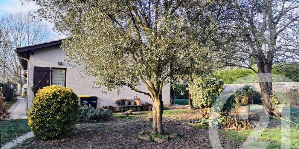 maison à ST MARTIN DE SESCAS (33490)