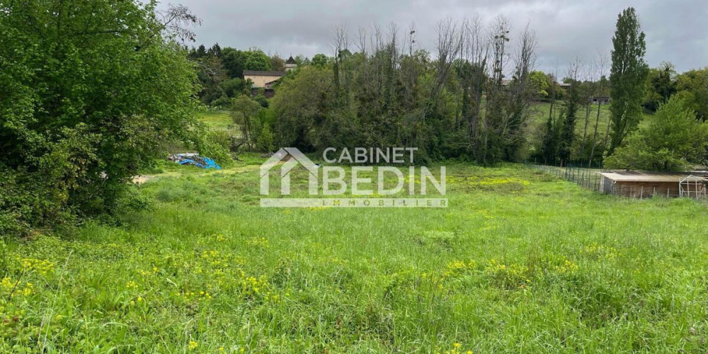 terrain à BRANNE (33420)