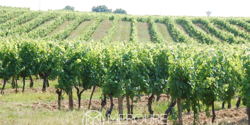 maison à SAUVETERRE DE GUYENNE (33540)