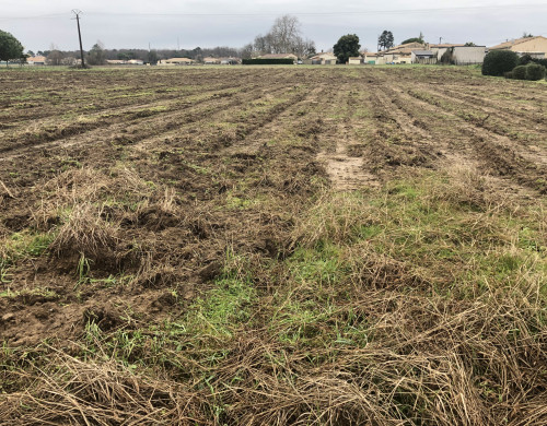 terrain  ST ANDRE DE CUBZAC