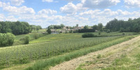 maison à ST ANDRE DE CUBZAC (33240)