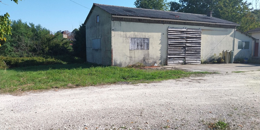 maison à BRANNE (33420)