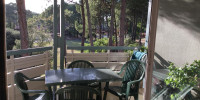 appartement à LACANAU (33680)