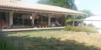 maison à ST MEDARD EN JALLES (33160)