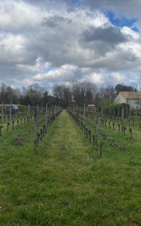 Terrain  PERISSAC