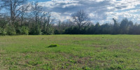terrain à TABANAC (33550)