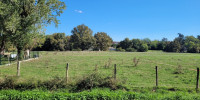 terrain à ST LOUBES (33450)