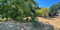 terrain à BASSANNE (33190)