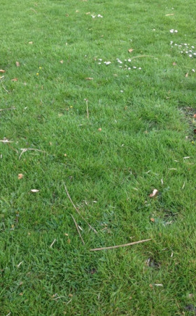 Terrain  LES ARTIGUES DE LUSSAC