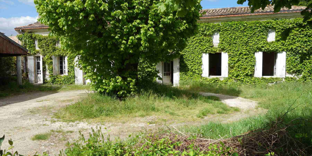maison à CARTELEGUE (33390)