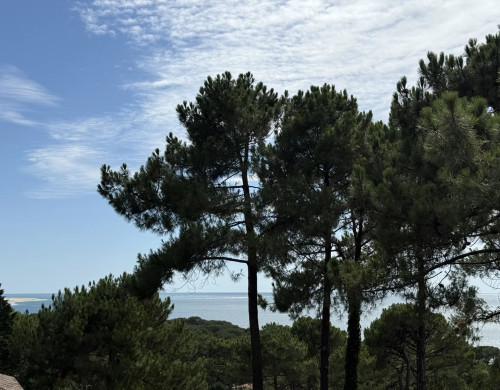 maison  LA TESTE DE BUCH