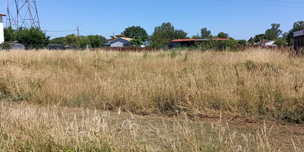 terrain à AMBARES ET LAGRAVE (33440)