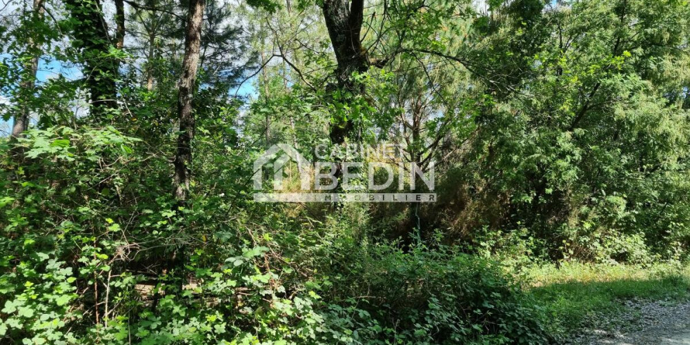 terrain à AUDENGE (33980)