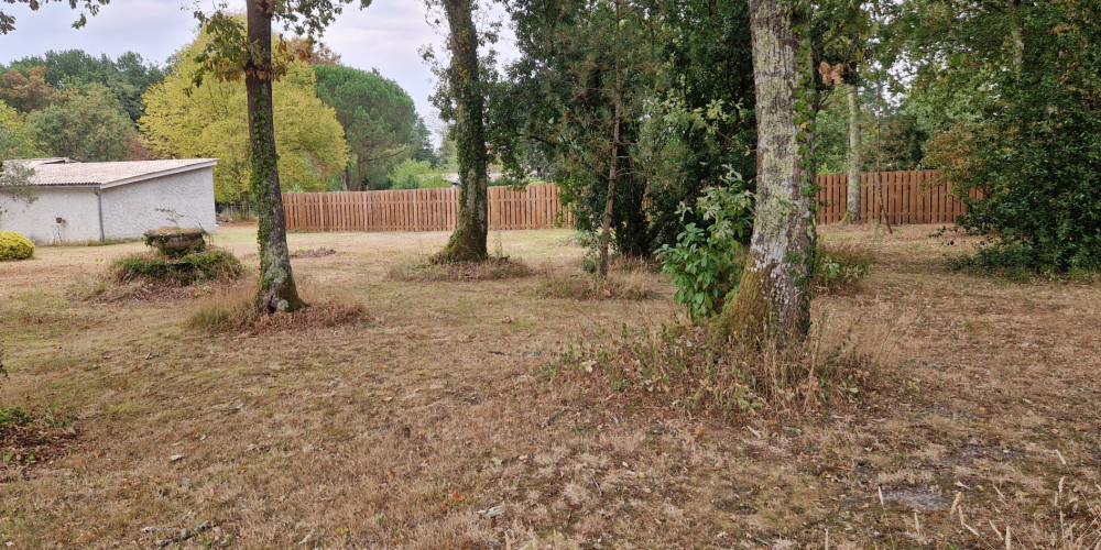 terrain à ARSAC (33460)
