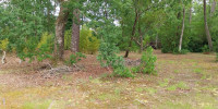 terrain à STE HELENE (33480)